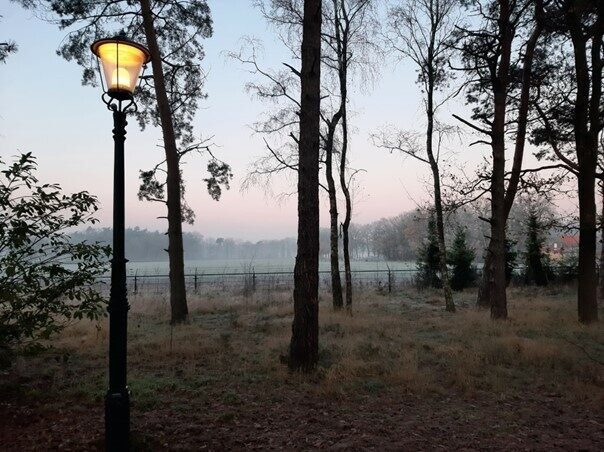 Een zonsondergang in een bos, links staat een lantaarnpaal.